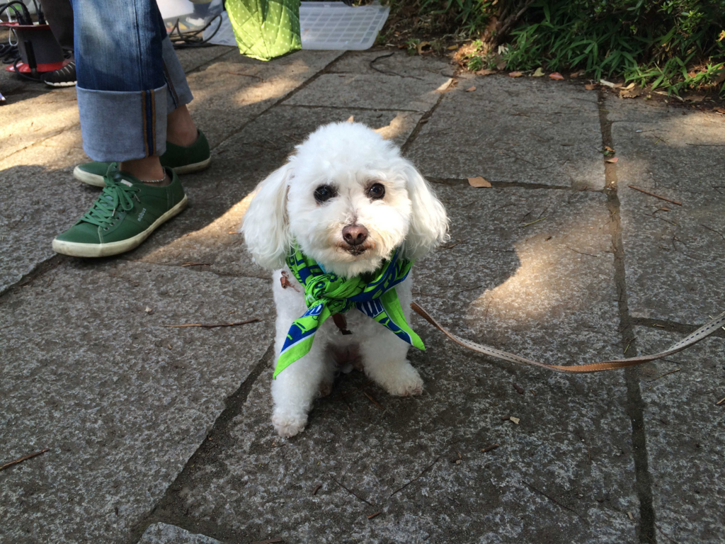 f:id:sr2460:20160703171219j:plain