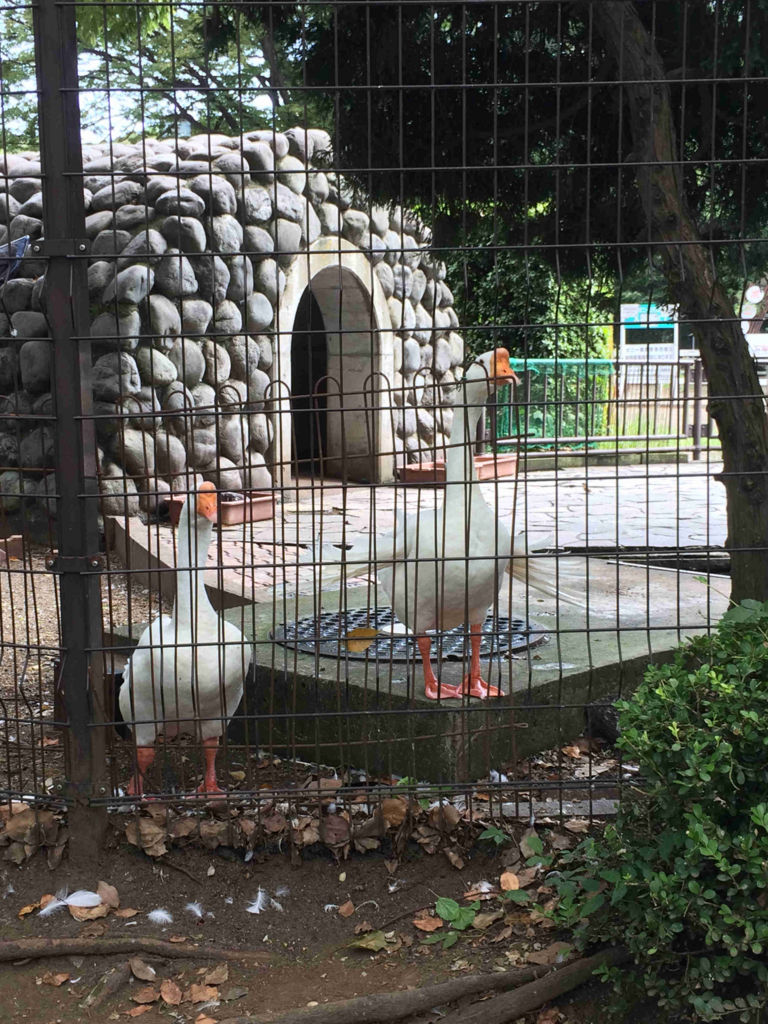 f:id:sr2460:20160814165411j:plain f:id:sr2460:20160814165411j:plain