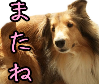 f:id:sr2460:20170318134810j:plain f:id:sr2460:20170318134810j:plain