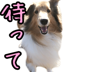 f:id:sr2460:20170318134930g:plain f:id:sr2460:20170318134930g:plain