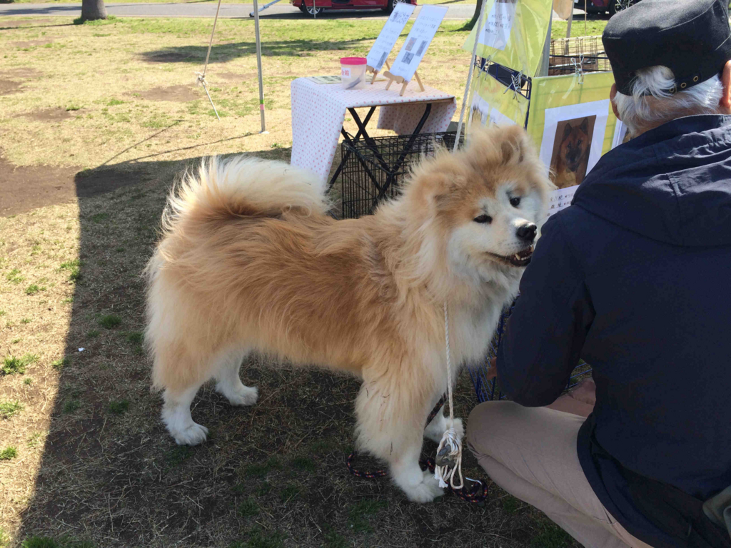 f:id:sr2460:20170416102517j:plain