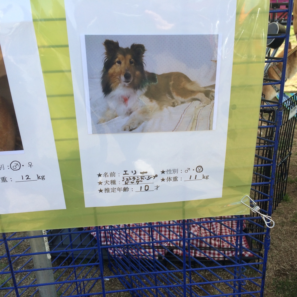 f:id:sr2460:20170416102640j:plain