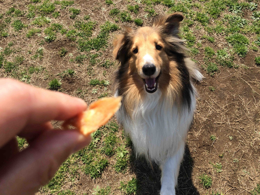 f:id:sr2460:20170926200332j:plain