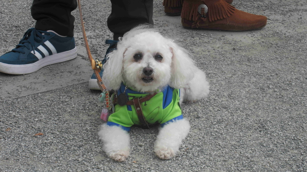 f:id:sr2460:20181204214834j:plain f:id:sr2460:20181204214834j:plain