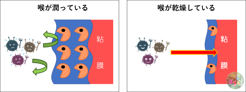 f:id:srcrbp53-297009:20210611185733p:plain