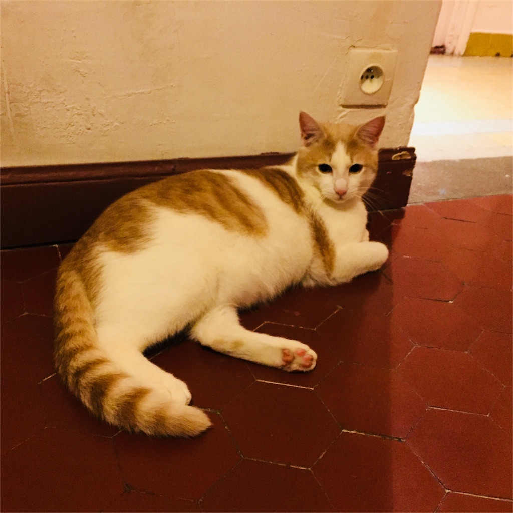 f:id:srdavi3216:20180225061024j:image