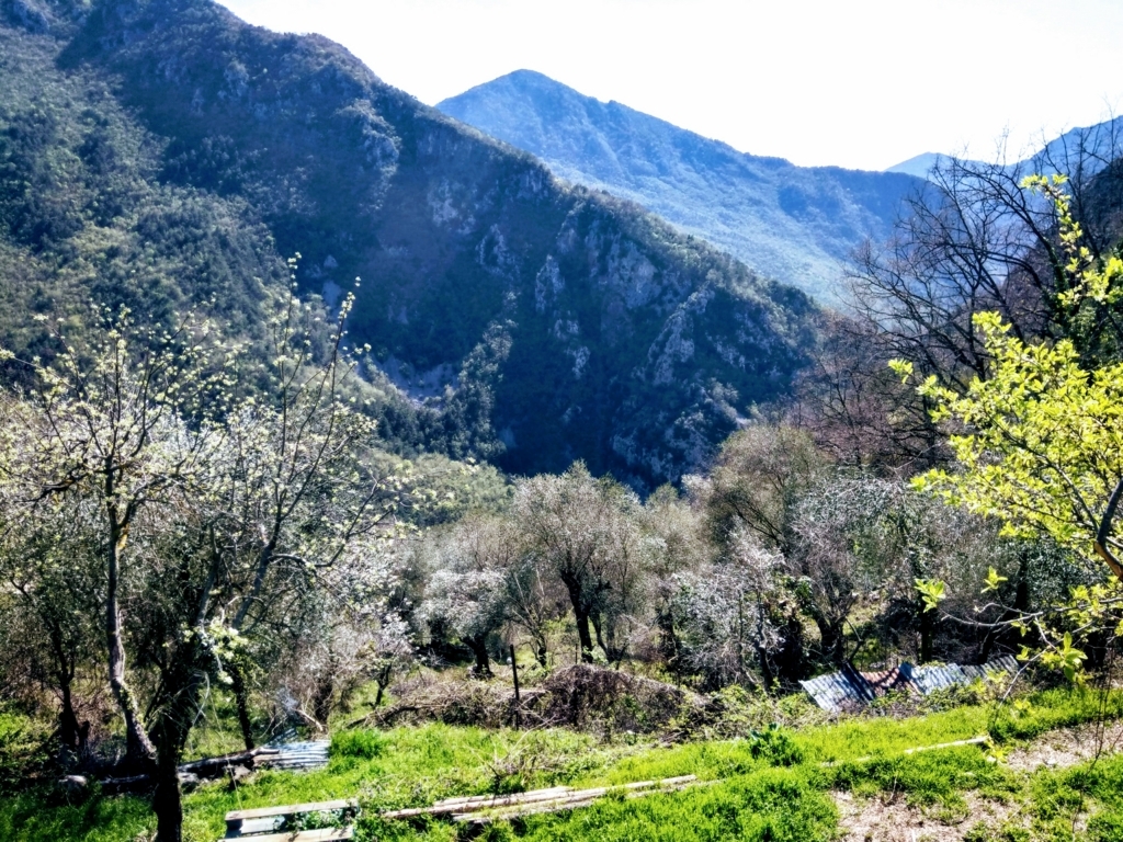 f:id:srdavi3216:20180429031929j:plain