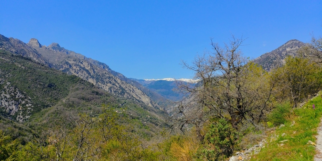 f:id:srdavi3216:20180429032717j:plain