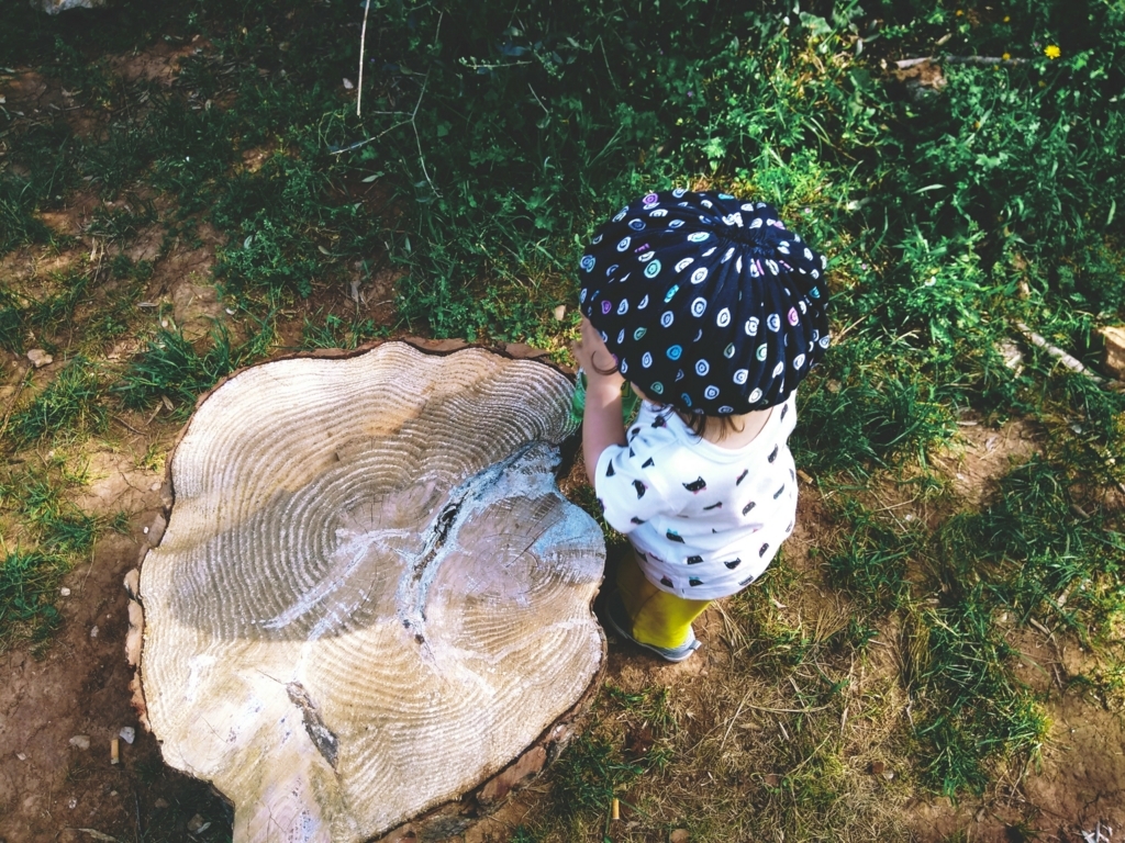 f:id:srdavi3216:20180508051234j:plain