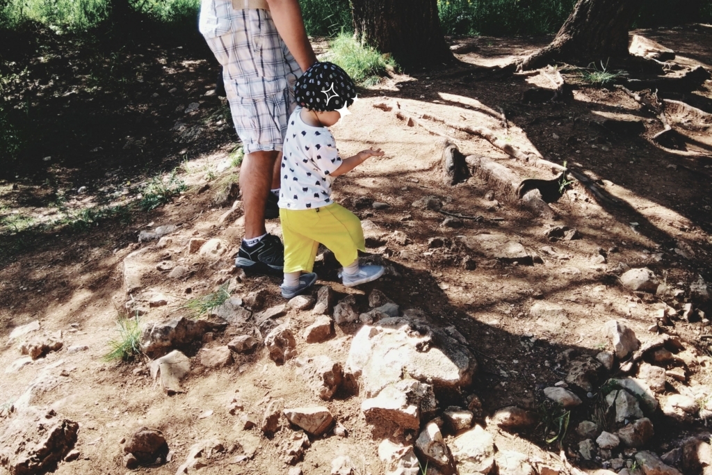 f:id:srdavi3216:20180508051240j:plain