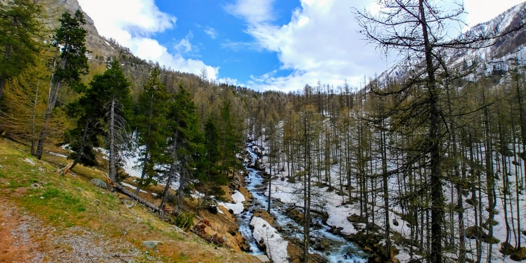 f:id:srdavi3216:20180522065752j:plain