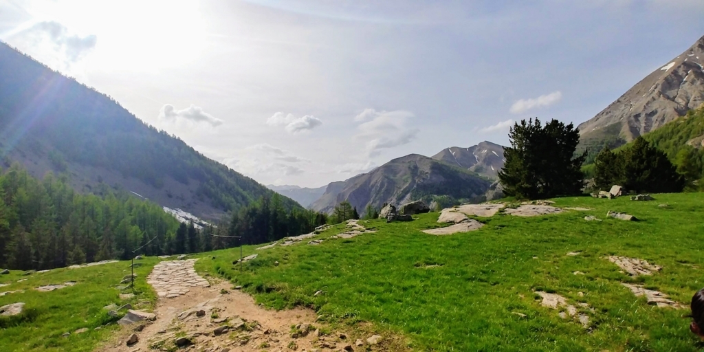 f:id:srdavi3216:20180611214903j:plain