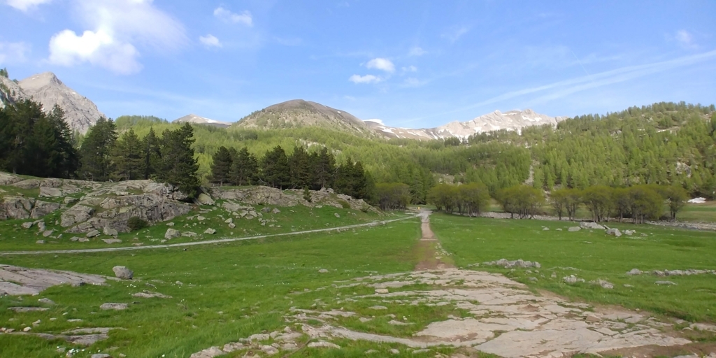 f:id:srdavi3216:20180611220423j:plain