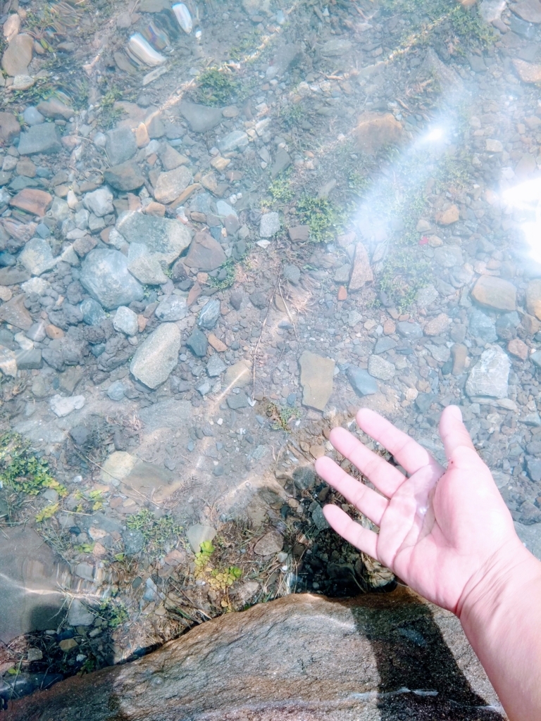 f:id:srdavi3216:20180611221426j:plain
