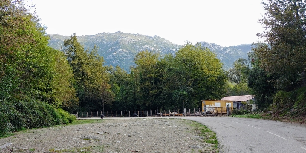 f:id:srdavi3216:20181019212418j:plain