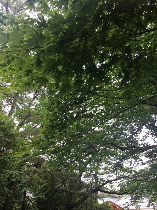 f:id:srluvy745:20180911231419j:plain f:id:srluvy745:20180911231419j:plain