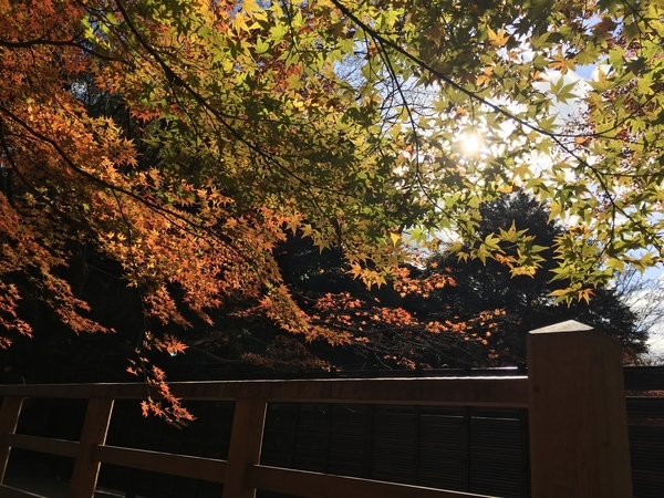 f:id:srluvy745:20181015171858j:plain f:id:srluvy745:20181015171858j:plain