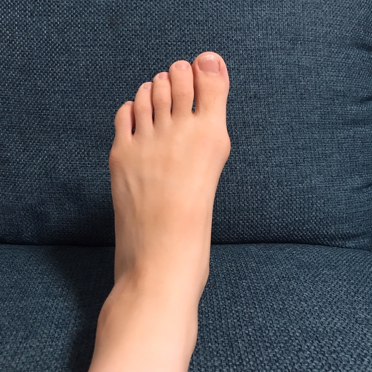 f:id:srshappy:20191201230934j:plain