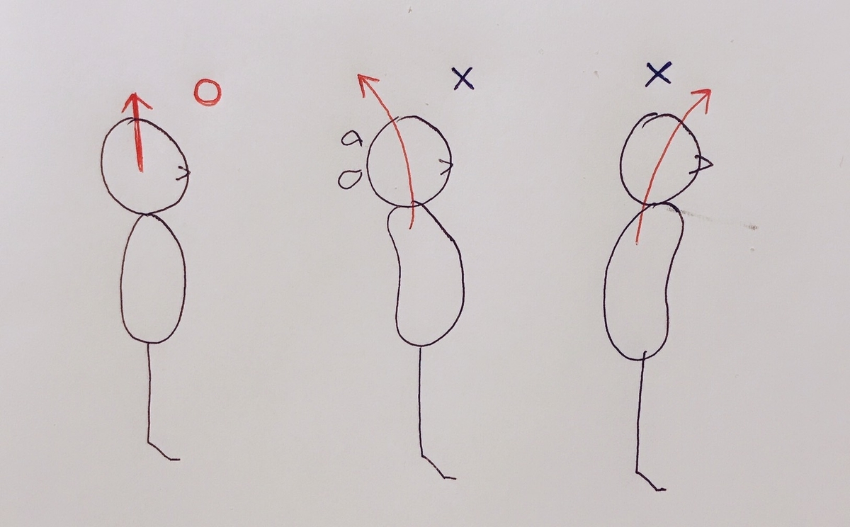 f:id:srshappy:20191202212613j:plain