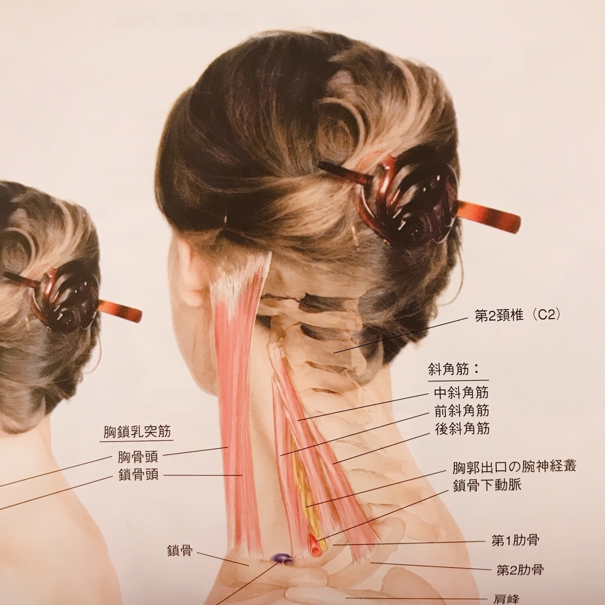 f:id:srshappy:20200124225751j:plain