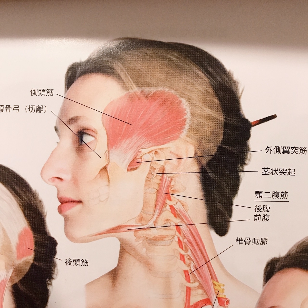 f:id:srshappy:20200124225804j:plain