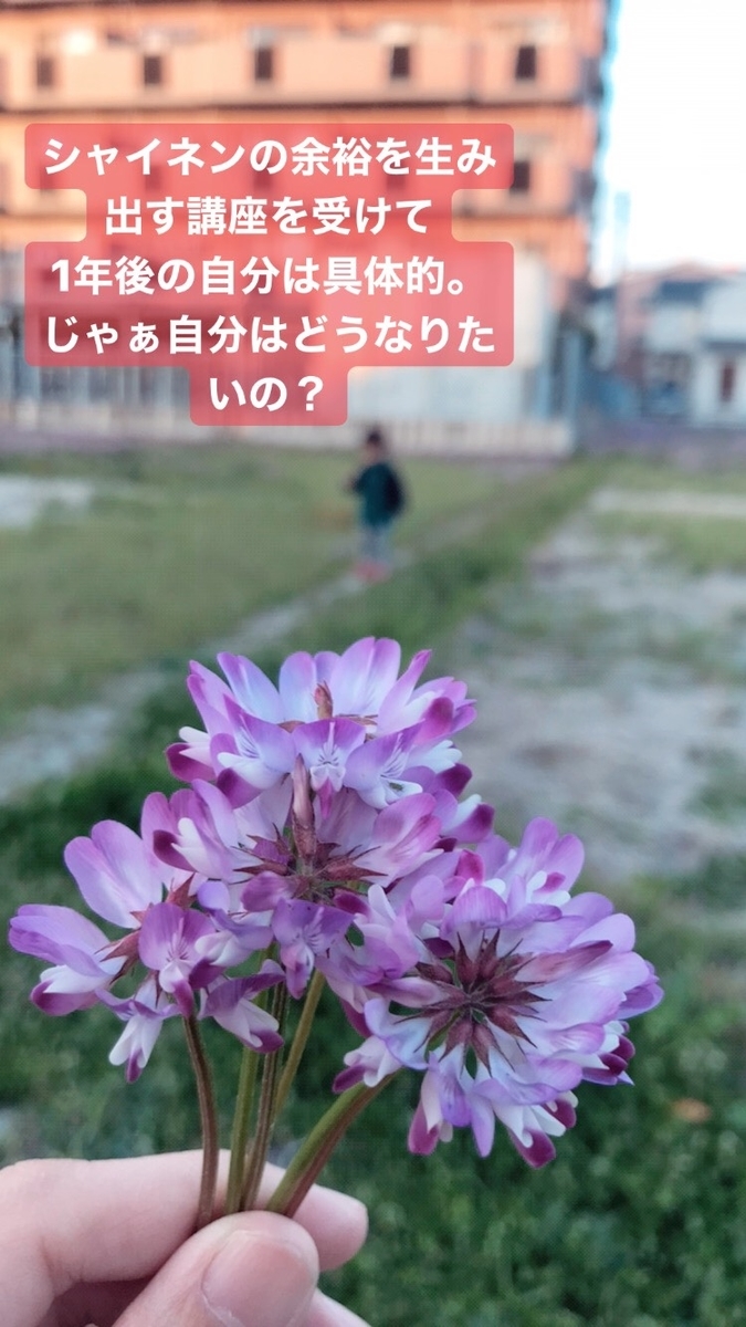 f:id:srshappy:20200402003322j:plain f:id:srshappy:20200402003322j:plain
