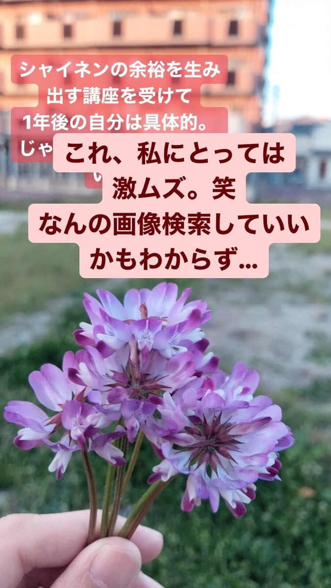 f:id:srshappy:20200402003344j:plain f:id:srshappy:20200402003344j:plain