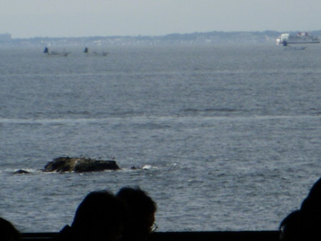 f:id:srsrx46:20081012123047j:image f:id:srsrx46:20081012123047j:image
