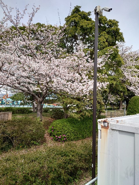 f:id:srunp:20230623163240j:image f:id:srunp:20230623163240j:image
