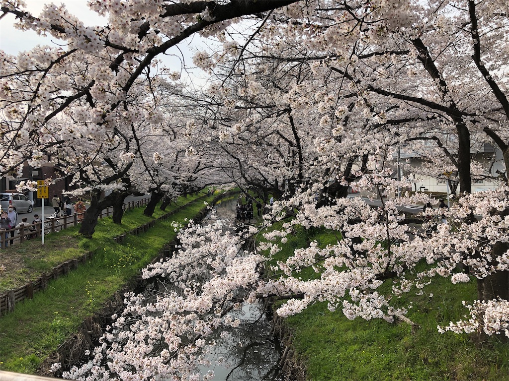 f:id:ss-05170517:20210328102242j:image