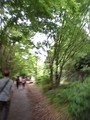 20080504113409