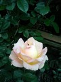 20080504124752