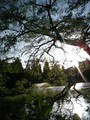 20080504172252