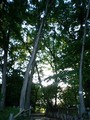 20080504173009