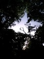 20080504173110