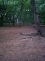 20080504173209