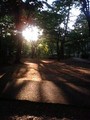 20080504173331