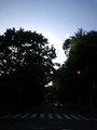 20080504173901