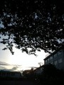 20080504174802