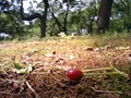 20080517133738