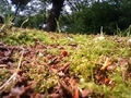 20080517135336