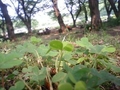 20080517135754