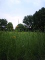 20080517152012