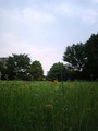 20080517152036
