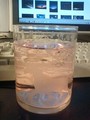 20080522190147