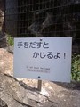 ('(ﾟ∀ﾟ∩　かじるよ！