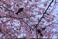 20090321170322