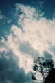 雲の樹