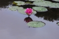 うてな