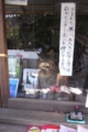 いらっしゃいませ